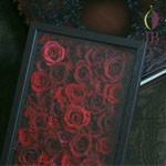 Thumbnail of post image 096