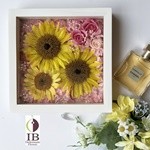 Thumbnail of post image 129