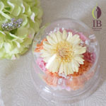 Thumbnail of post image 045