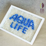 Thumbnail of post image 051