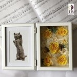 Thumbnail of post image 007