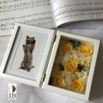 Thumbnail of post image 123