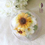 Thumbnail of post image 065