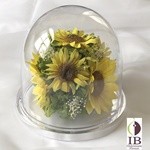 Thumbnail of post image 074