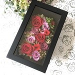 Thumbnail of post image 119