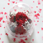 Thumbnail of post image 112