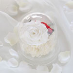 Thumbnail of post image 014