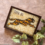 Thumbnail of post image 171