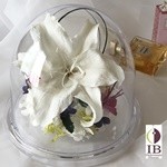 Thumbnail of post image 145