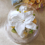 Thumbnail of post image 139