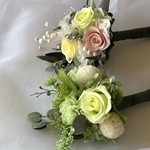 Thumbnail of post image 043