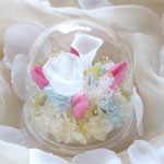 Thumbnail of post image 077