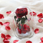 Thumbnail of post image 121