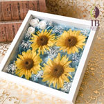 Thumbnail of post image 165