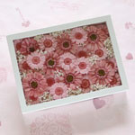 Thumbnail of post image 186