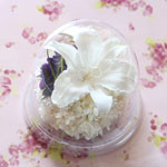 Thumbnail of post image 016