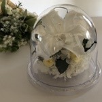 Thumbnail of post image 108