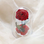 Thumbnail of post image 154