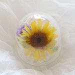 Thumbnail of post image 113