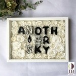 Thumbnail of post image 045