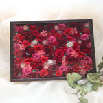 Thumbnail of post image 158