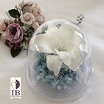 Thumbnail of post image 059