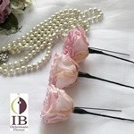 Thumbnail of post image 181