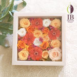 Thumbnail of post image 113