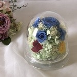 Thumbnail of post image 147