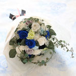 Thumbnail of post image 137