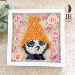 Thumbnail of post image 011