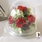 Thumbnail of post image 025