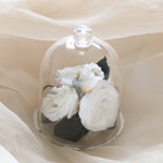 Thumbnail of post image 061