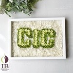 Thumbnail of post image 002