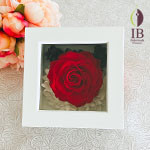 Thumbnail of post image 147