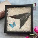 Thumbnail of post image 048