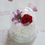 Thumbnail of post image 128