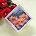 Thumbnail of post image 132