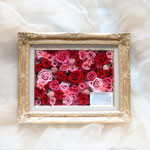 Thumbnail of post image 019