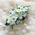 Thumbnail of post image 136