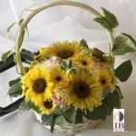 Thumbnail of post image 066