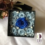 Thumbnail of post image 110