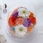 Thumbnail of post image 040