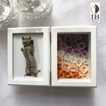 Thumbnail of post image 117