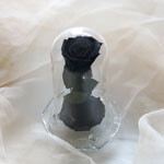 Thumbnail of post image 118