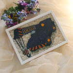 Thumbnail of post image 073