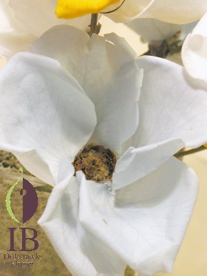 プリザードフラワー オーダーメイド