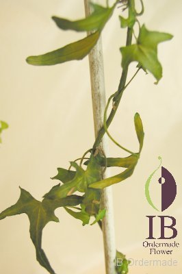 プリザードフラワー オーダーメイド