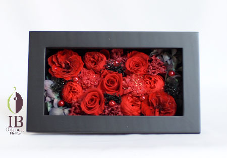 正面横（ガラスなし）