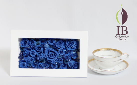 ティーカップとの大きさの比較